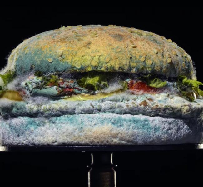 Burger King наносят удар McDonald's, выпустив отвратительный рекламный ролик