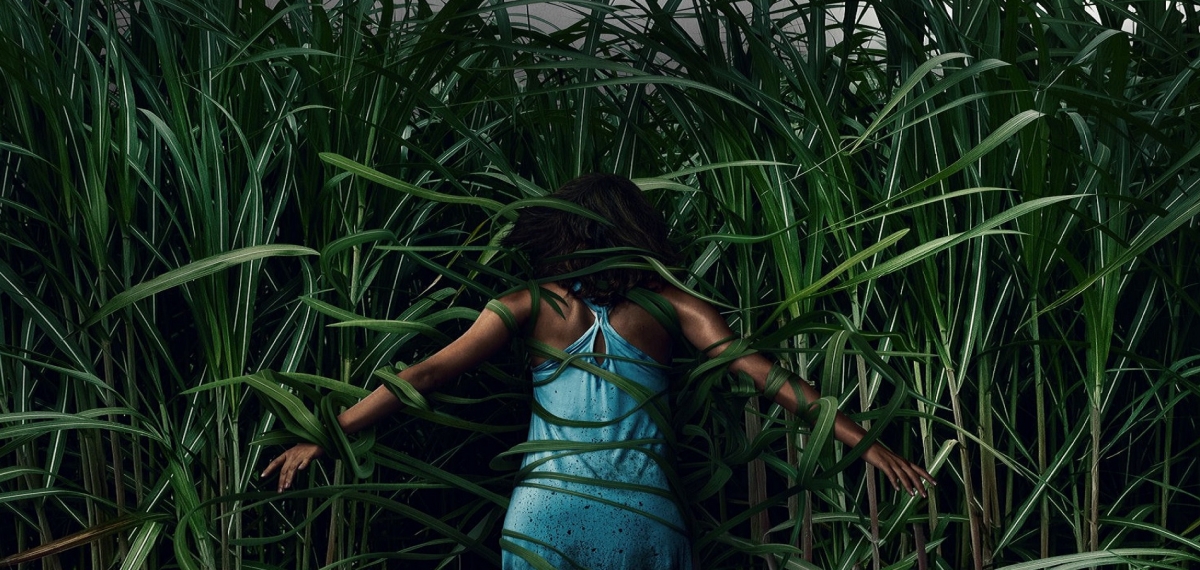 Потеряться в поле: Смотрите жуткий трейлер фильма ужасов «В высокой траве» от Netflix по роману Стивена Кинга