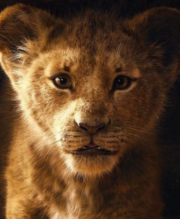 «Король Лев»: Новый трейлер самого ожидаемого диснеевского ремейка с Дональдом Гловером и Бейонсе