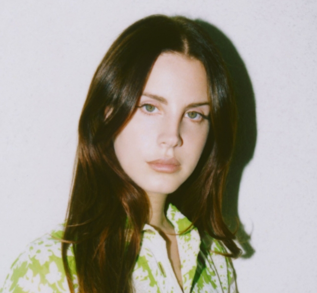 Lana Del Rey представила новый клип Venice Bitch