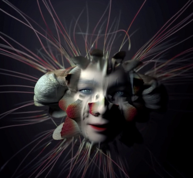 Бьорк превращается в космический цветок в психоделическом клипе Tabula Rasa