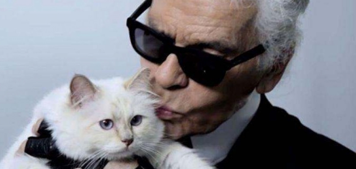 Истории любви известных дизайнеров: Карл Лагерфельд и его возлюбленная кошка Шупетт
