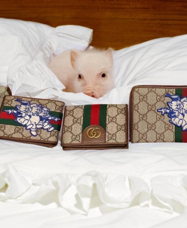 «Три поросенка» в самом милом кампейне Gucci