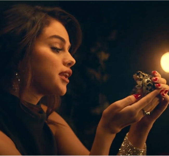 Селена Гомес отчаялась найти нормального парня и превратила их всех в лягушек в новом клипе "Boyfriend"