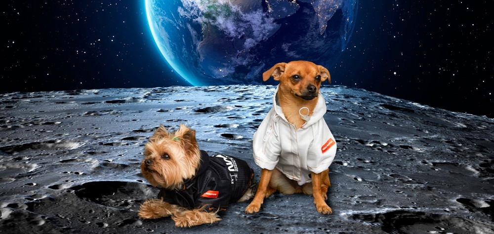 Космическая милота: Heron Preston представляет коллекцию одежды для собак в стиле NASA