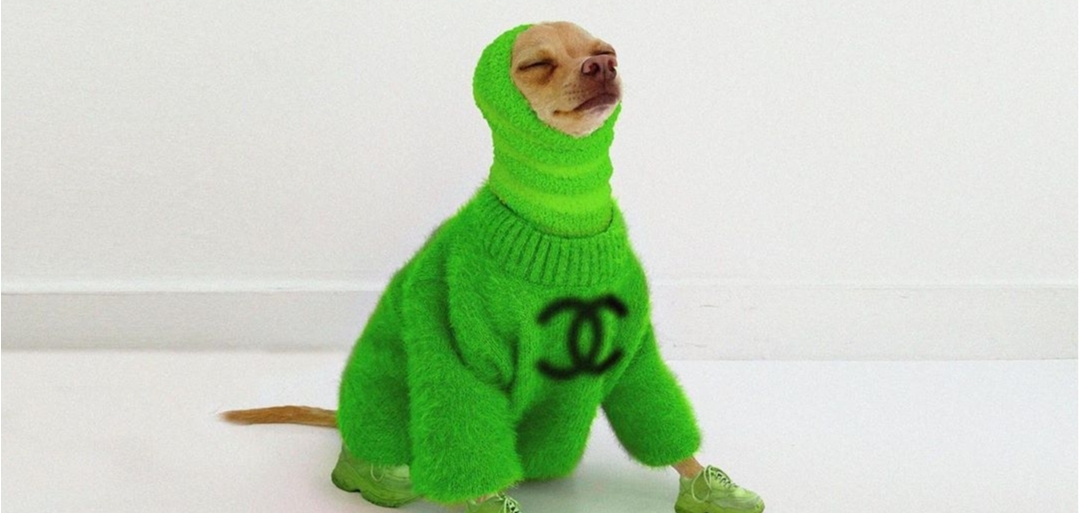 Fashion-икона: Собачка Буби взорвала Интернет и покорила модное сообщество уникальными луками