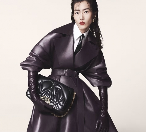 Нова сумка від Alexander McQueen