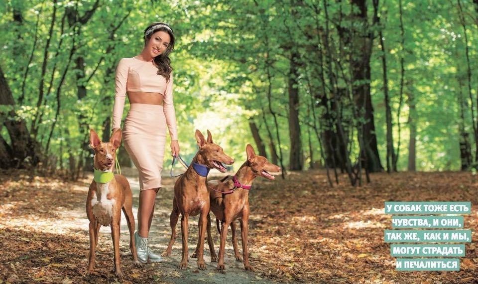 Злата Огневич устроила фотосессию с тремя огромными собаками в киевском парке (фото)