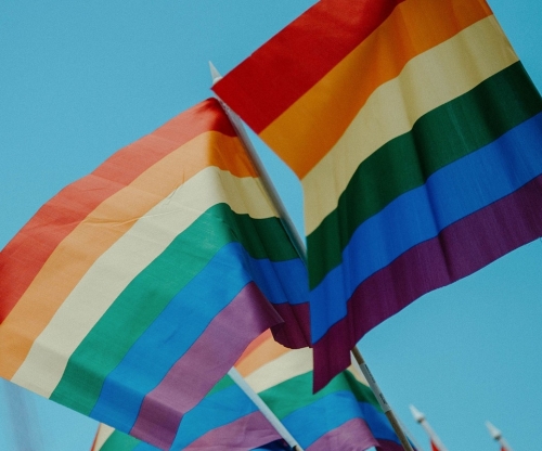 Токио планирует разрешить однополые браки в 2022 году